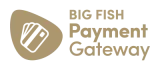 Big Fish Payment